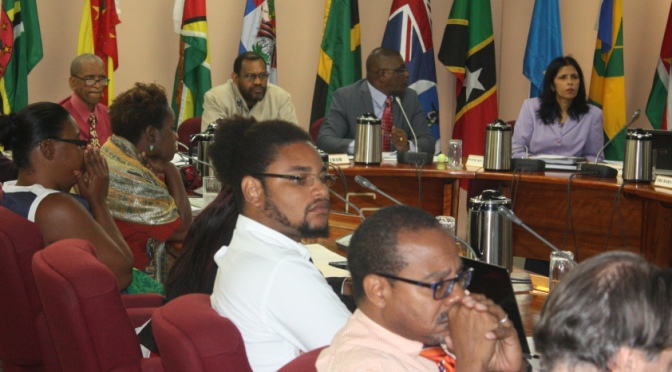 St. Kitts and Nevis CYA urges inclusion at PANCAP meeting